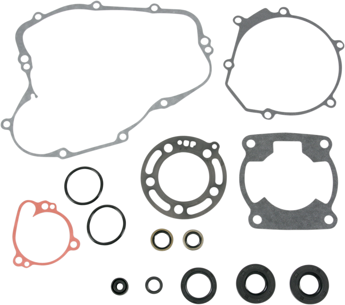 Motor Gasket Kit with Seal - KX100