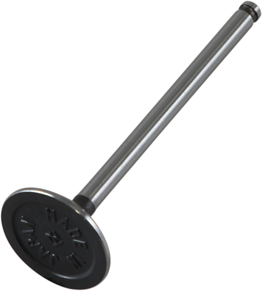 Exhaust Valve