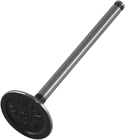 Exhaust Valve