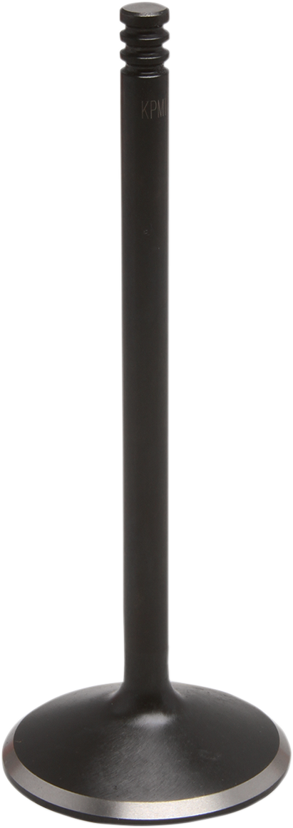 Exhaust Valve89930