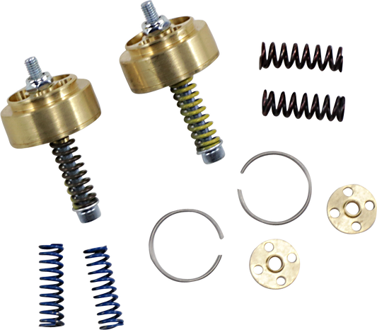 Gold Valve Cartridge Fork Emulators for Street/Track/Touring - 41 mm