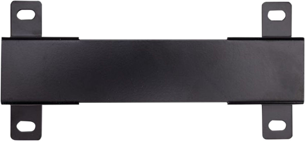 Single Amplifier Mount RZR Ruta 70