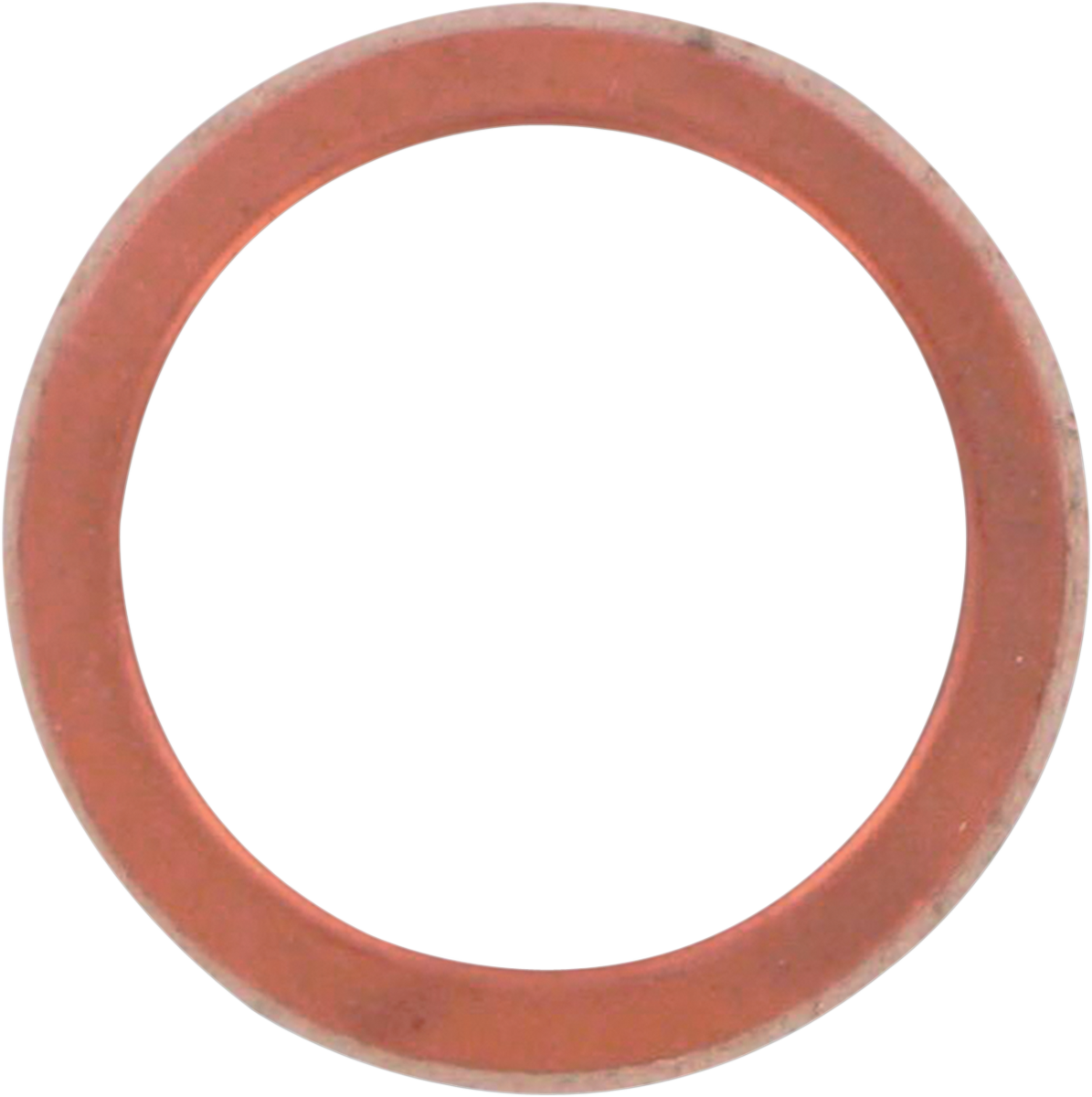 Exhaust Gasket