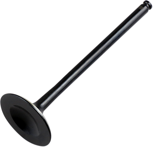Exhaust Valve