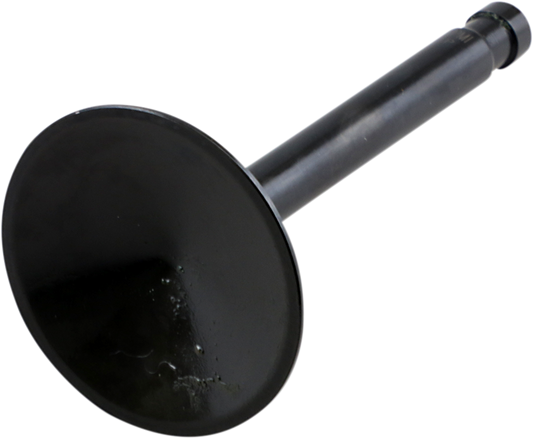 Intake Valve7387070