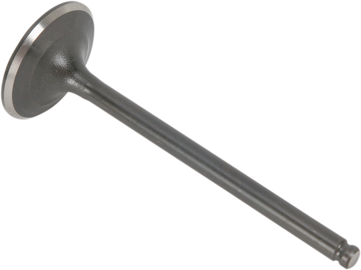 Exhaust Valve