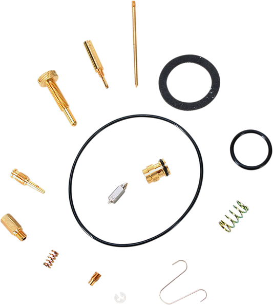 Carburetor Repair Kit