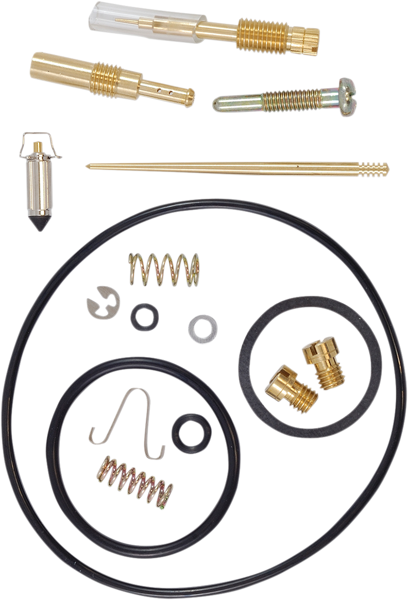 Carburetor Repair Kit