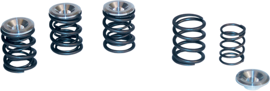 Valve Spring Kit - Big Twin