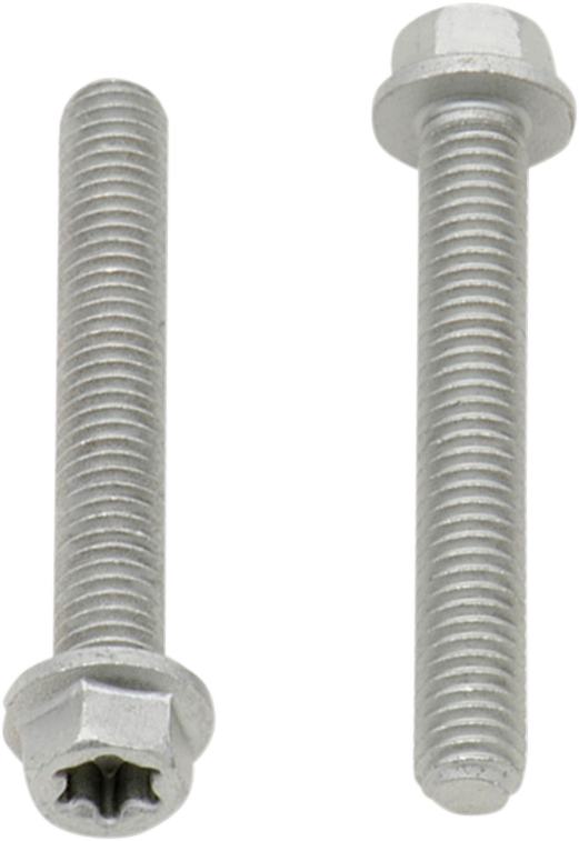 European Bolt M6x40 10 Pack