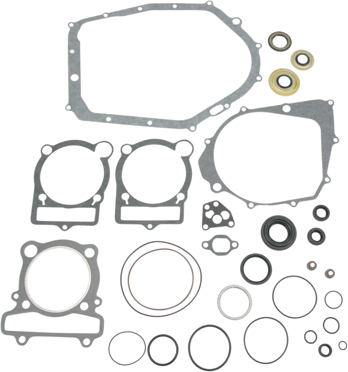 Motor Gasket Kit with Seal - YFM350