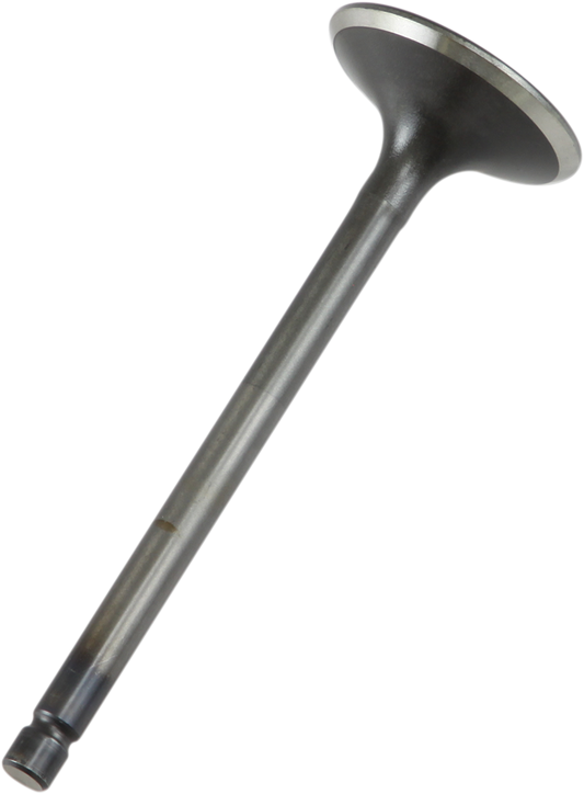 Exhaust Valve