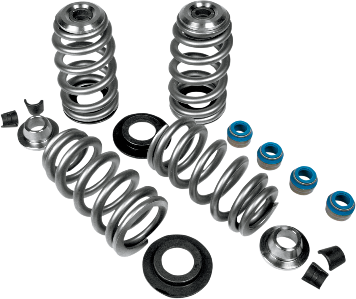Beehive Valve Springs6323473