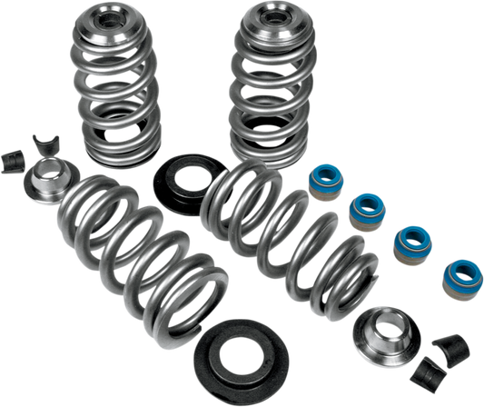 Beehive Valve Springs6323473
