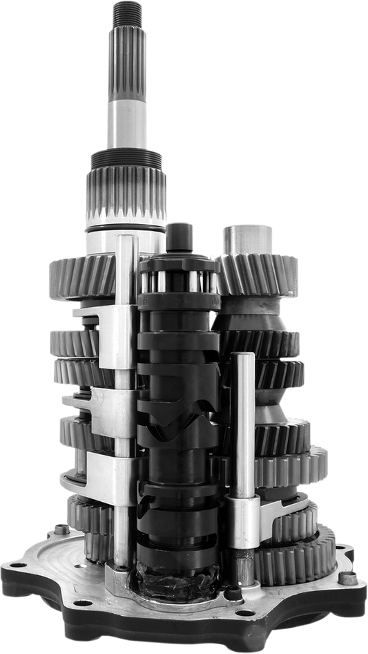 Direct Drive 7-Speed Gear - Polished Door