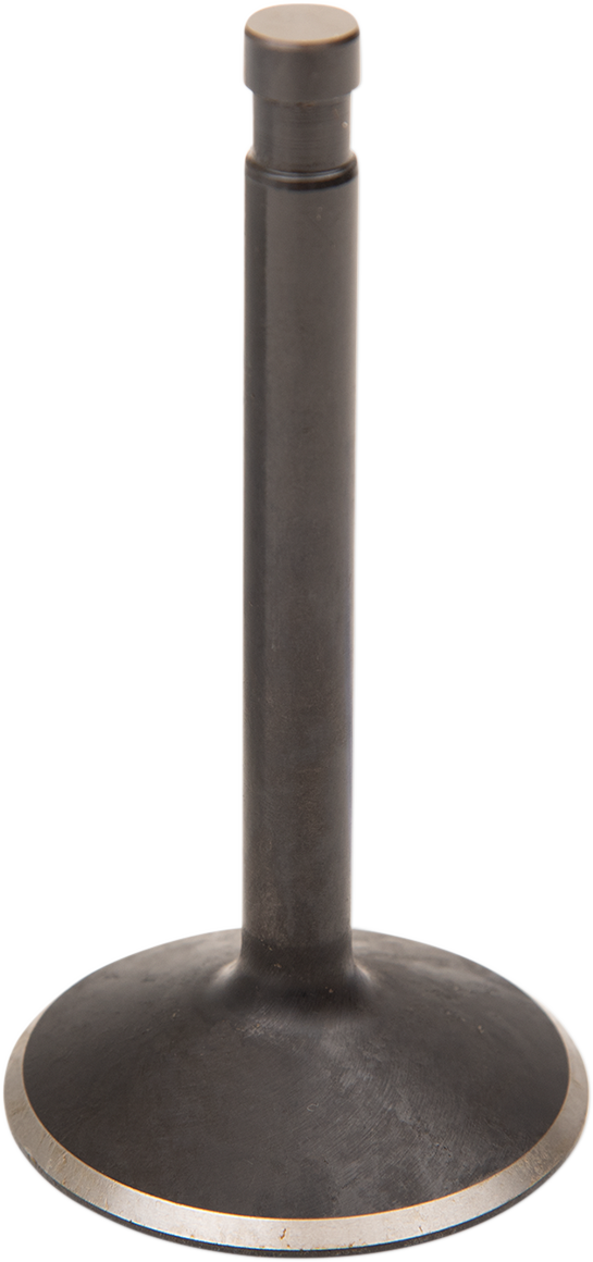 Intake Valve - Big Twin58184971