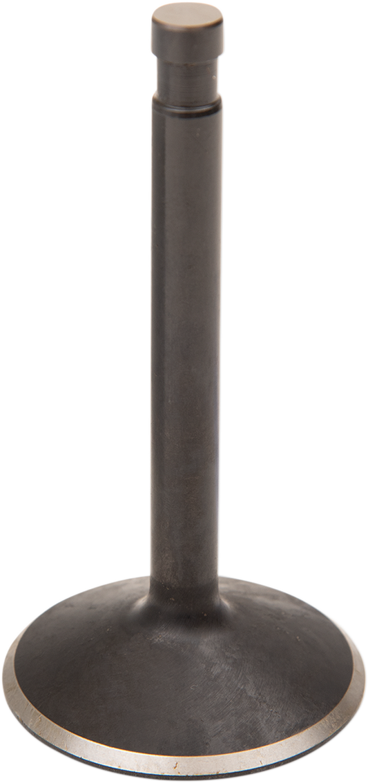 Intake Valve - Big Twin58184971