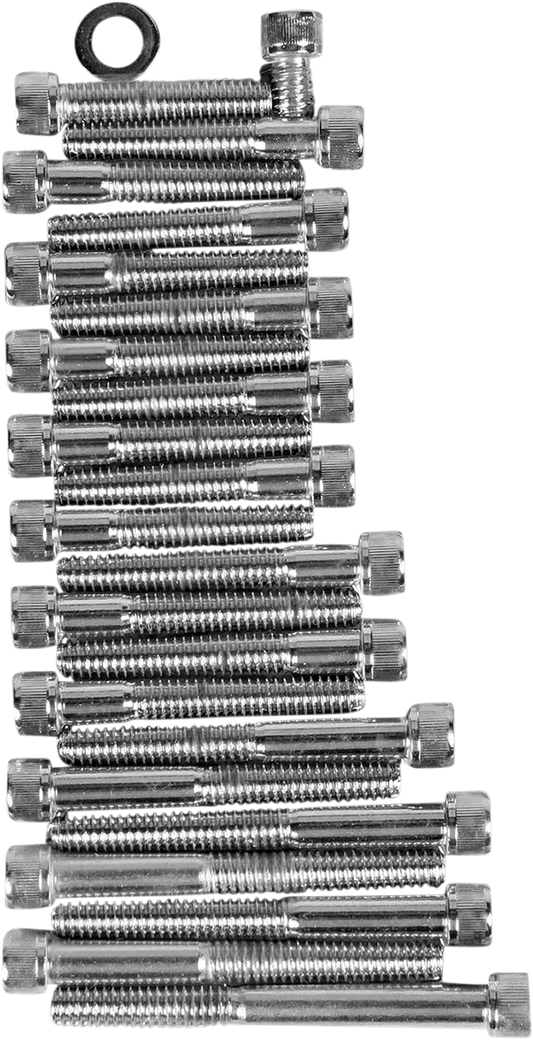 Tornillos allen estriado cubierta de levas y primaria cromo