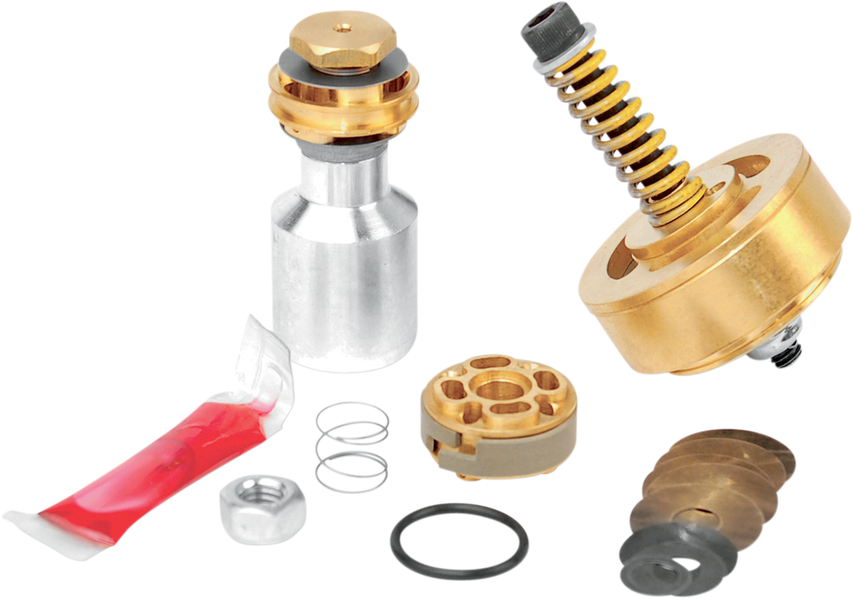 Gold Valve Fork Kit