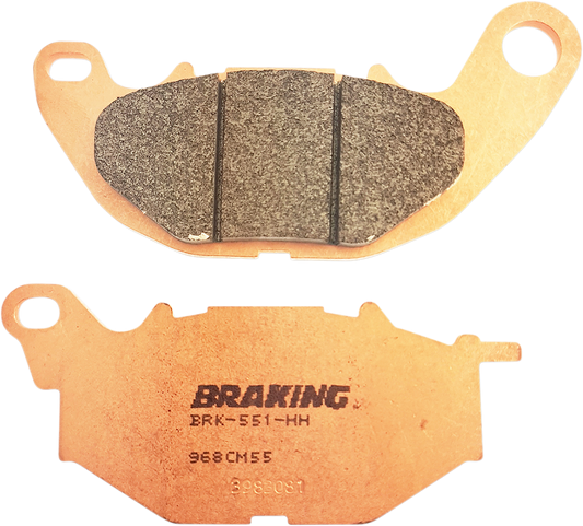 CM55 Brake Pads - YZF-R3