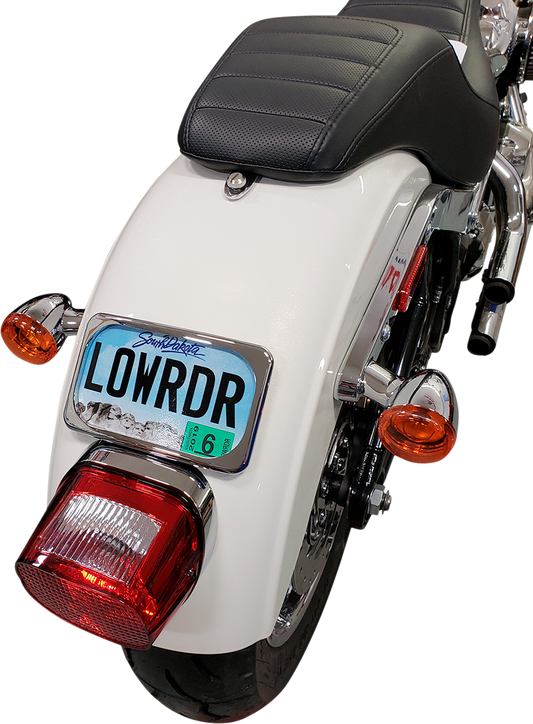 License Plate Mount - Large Radius