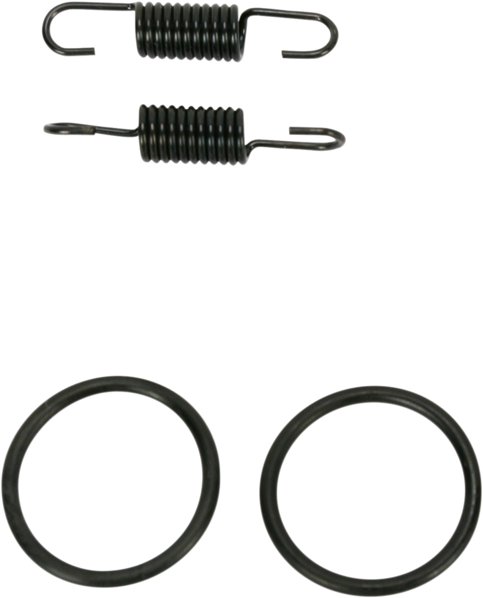 Spring and O-Ring Kit