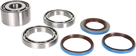 Differential Bearing/Seal Kit - Rear