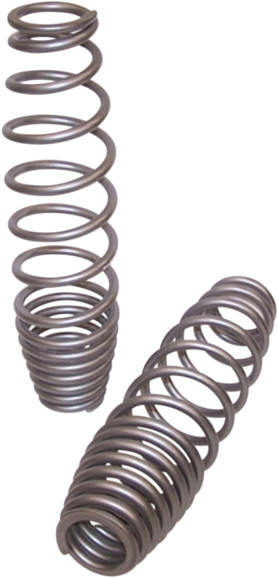Front Shock Springs - Silver