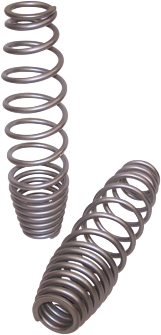 Front Shock Springs - Silver