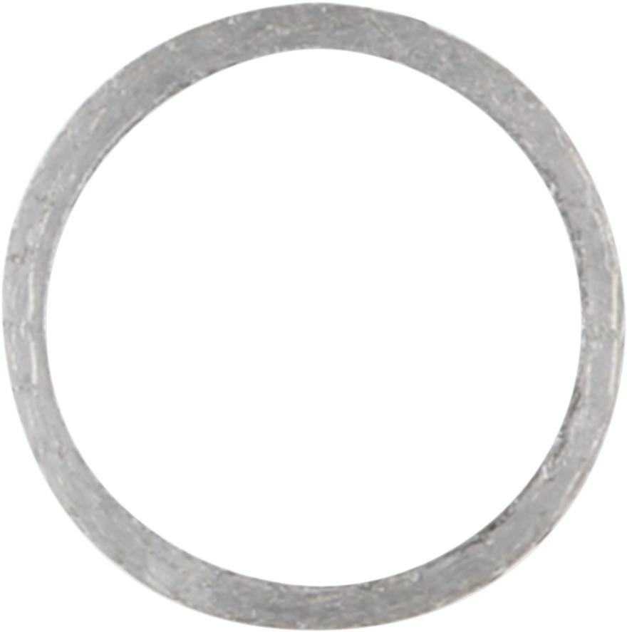 Exhaust Gasket