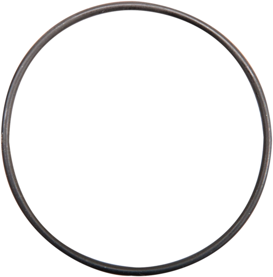 Cam Cover Small O-Ring