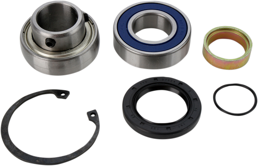 Chain Case Bearing and Seal Kit