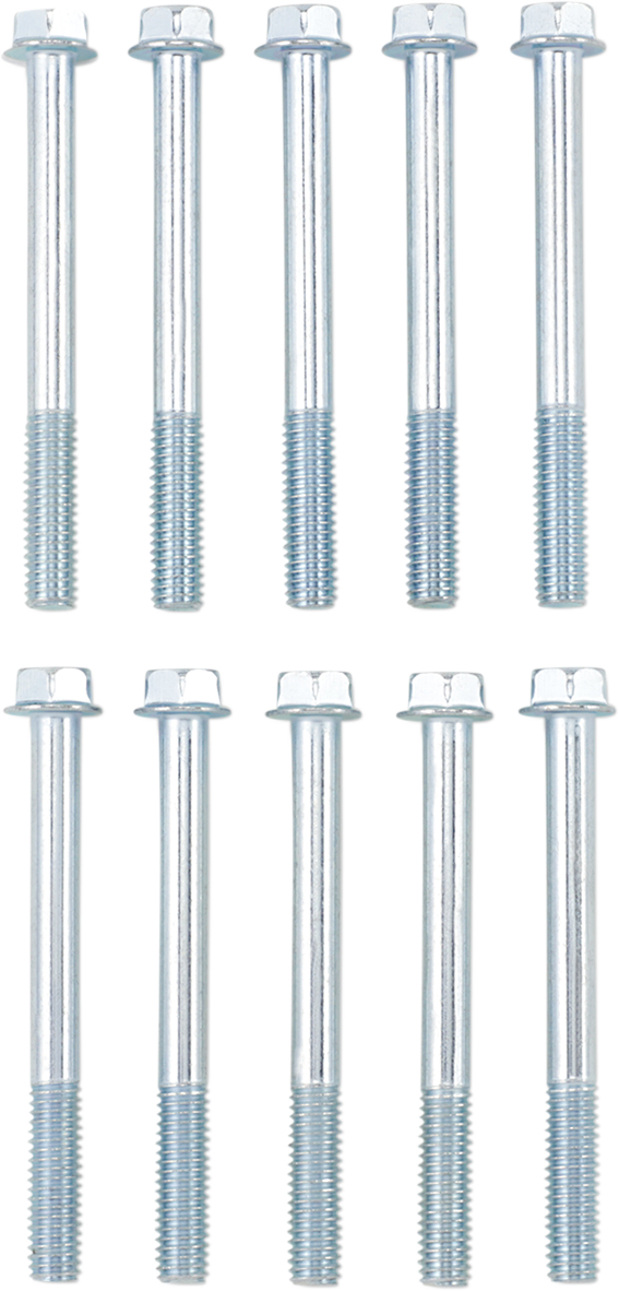 Flange Bolt M6X60 10-Pack
