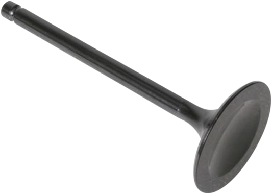 Intake Valve