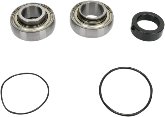 Chain Case Bearing and Seal Kit