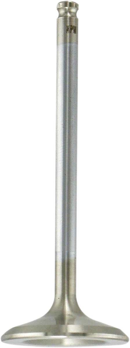 Exhaust Valve