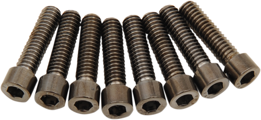 Kit de Tornillos M8 de la Base de las Varillas de Empuje - Negro