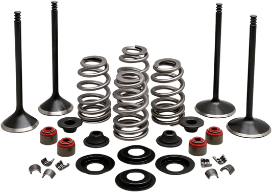 Complete Valve Kit - Twin Cam805