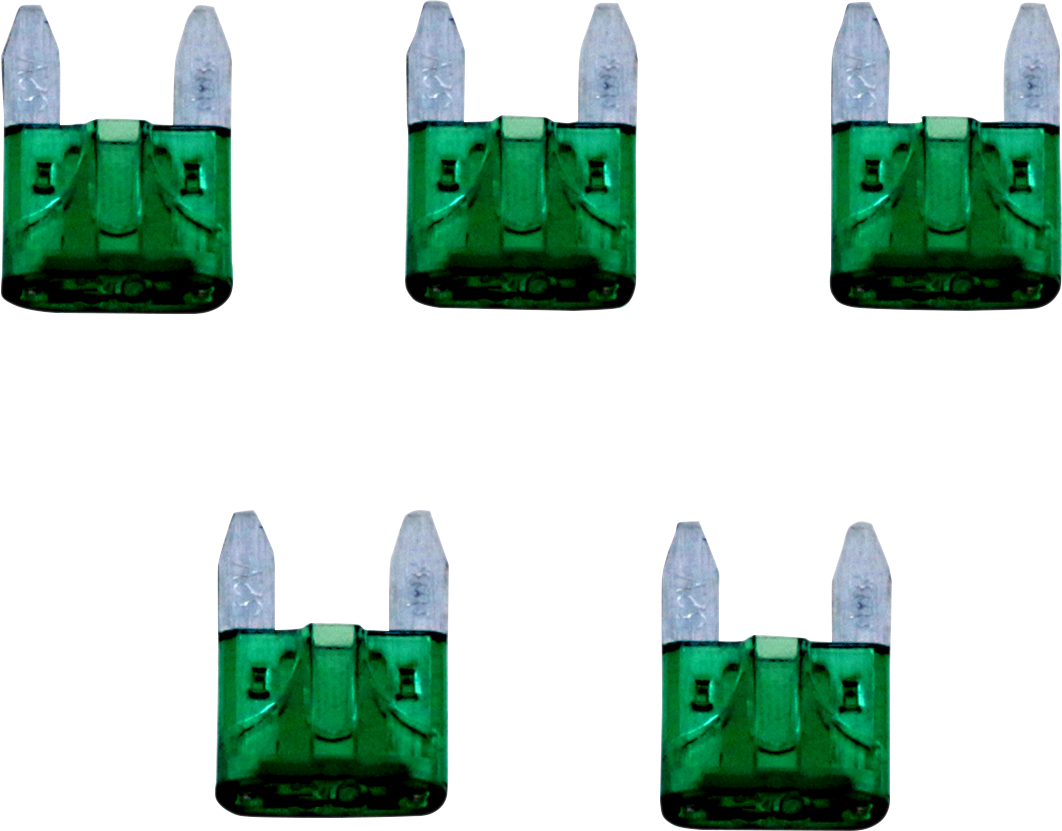 Fuses - Mini - 30 Amp - 5 Pack