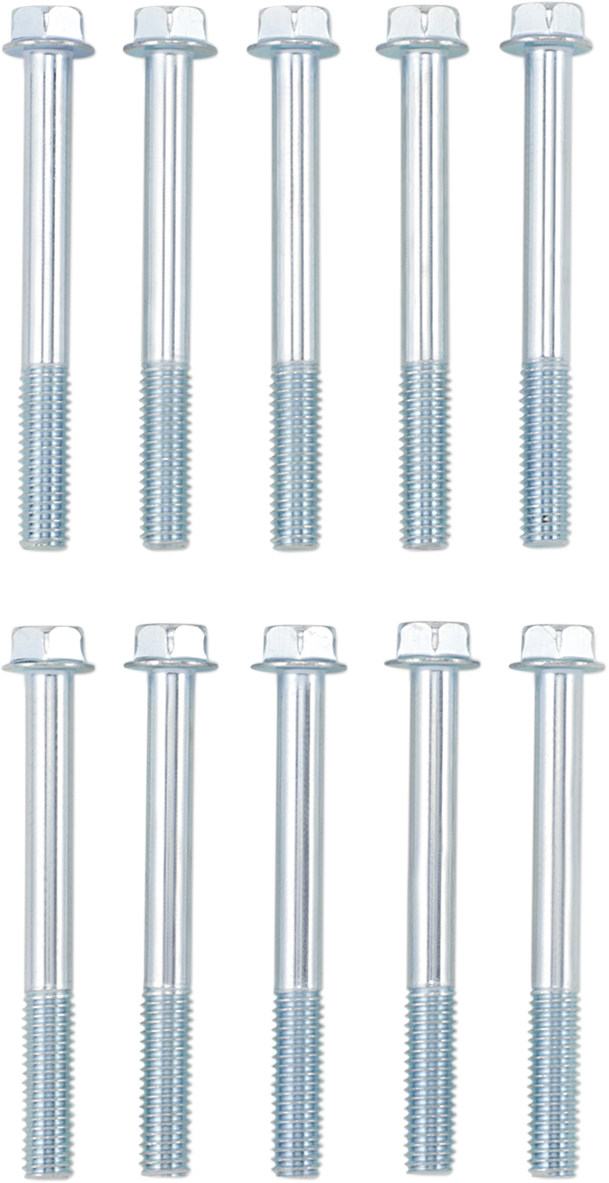 Flange Bolt M6X55 10-Pack