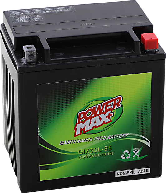 Battery - GIX30L