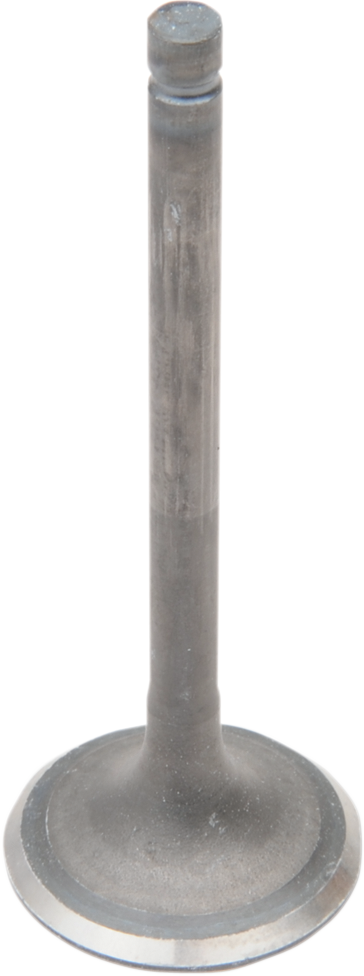 Exhaust Valve40691