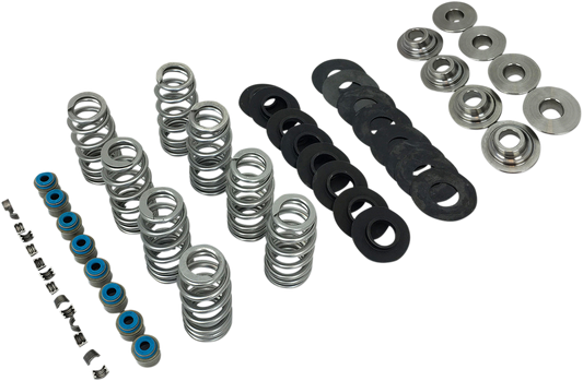 Beehive Valve Spring Kit - M8
