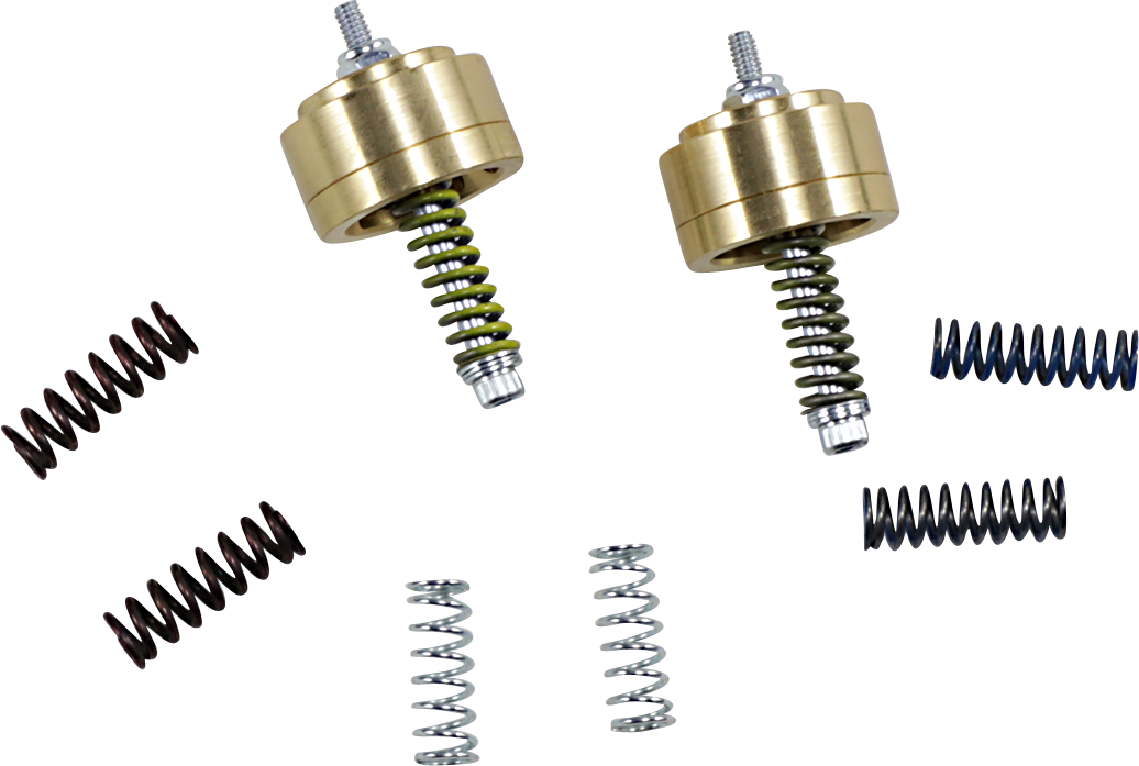 Gold Valve Cartridge Fork Emulators for Street/Track/Touring - 38 mm