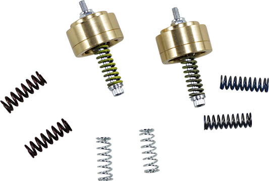 Gold Valve Cartridge Fork Emulators for Street/Track/Touring - 38 mm