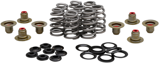 Beehive Spring Kit - .625" - M89734