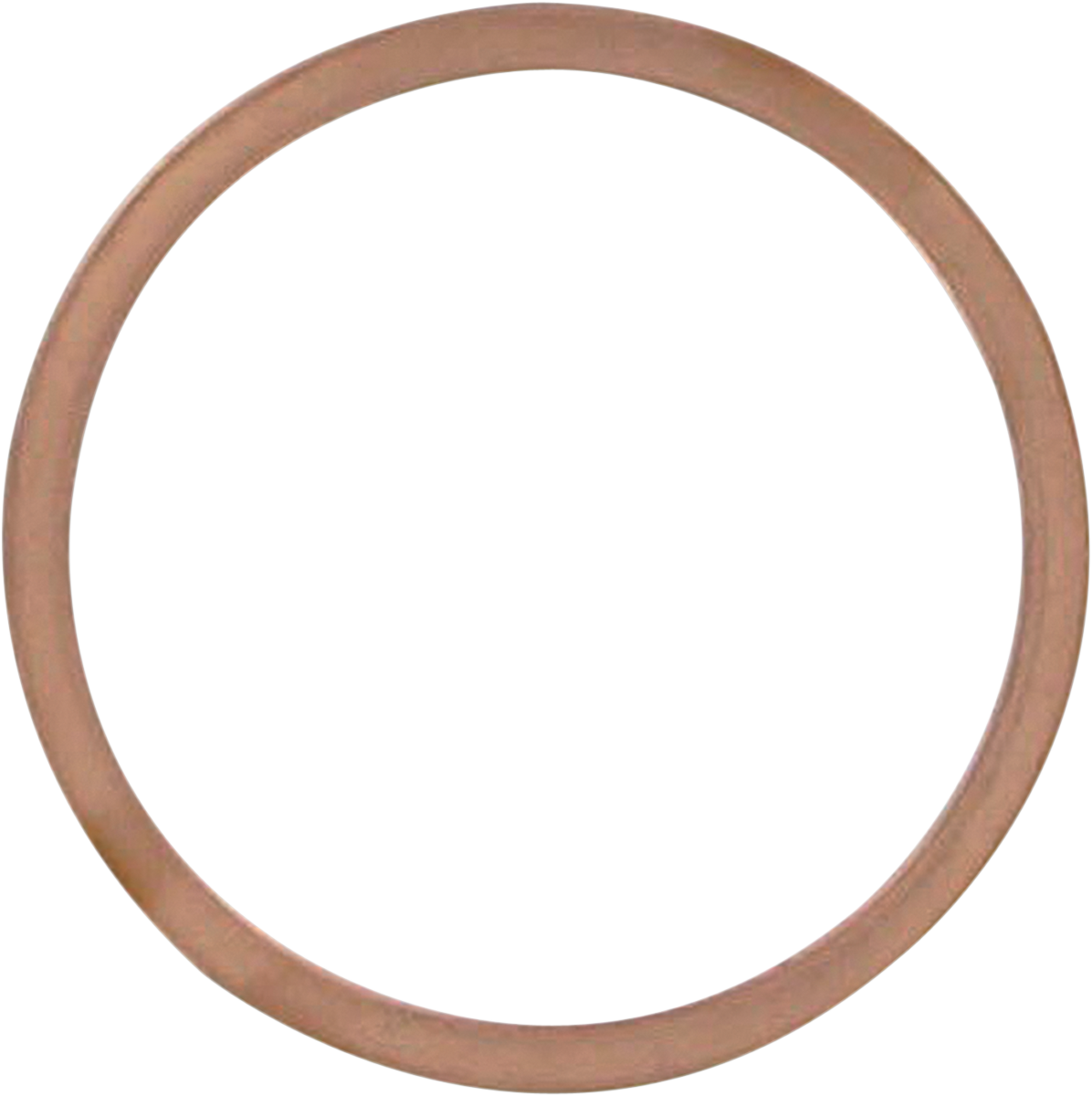 Exhaust Gasket