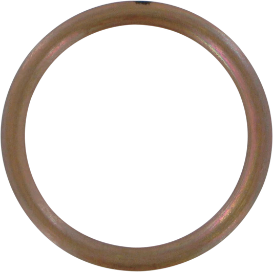 Exhaust Gasket