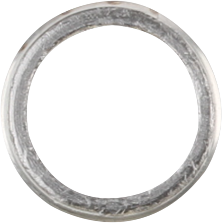 Exhaust Gasket