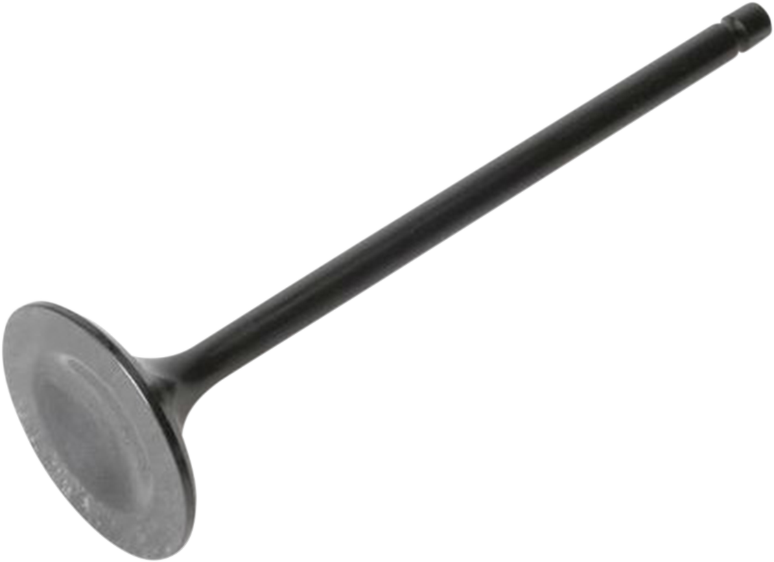 Exhaust Valve
